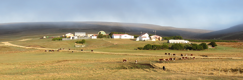 Shallow Harbour Farm, Dunnose Head, West Falklands